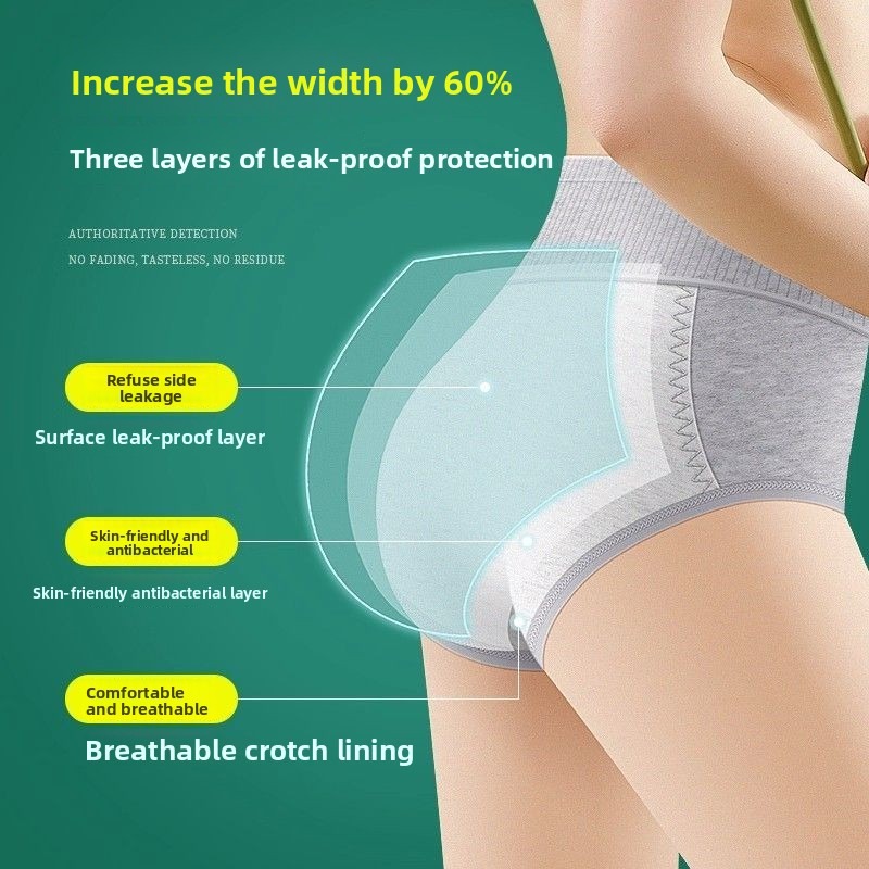 2 unidades. Calzoncillos menst - Period Panty Absorbent reseña y precio