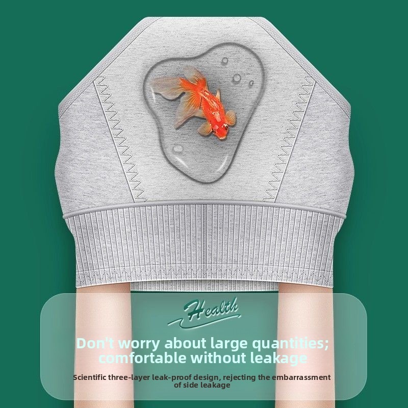 2 unidades. Calzoncillos menst - Period Panty Absorbent reseña y precio